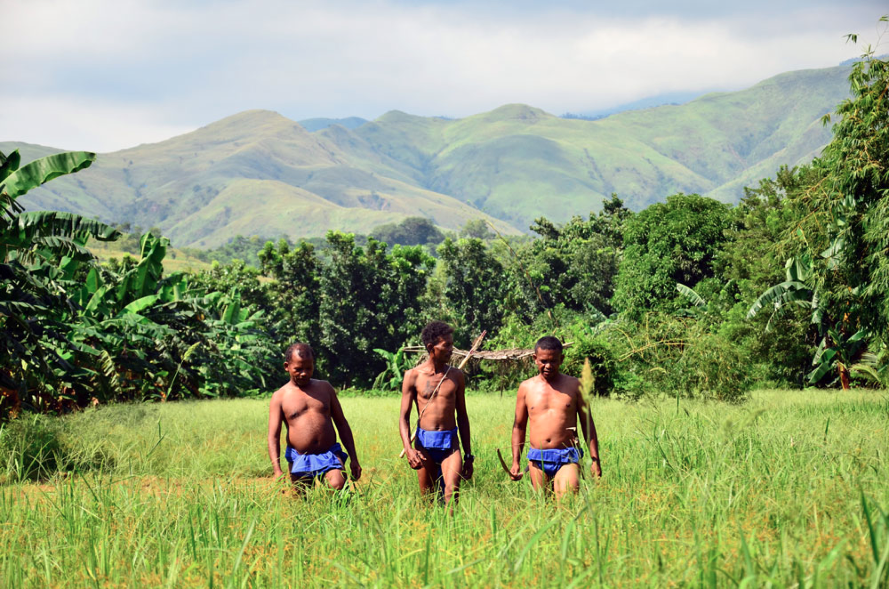 the-importance-of-aetas-in-nature-and-why-you-have-to-care